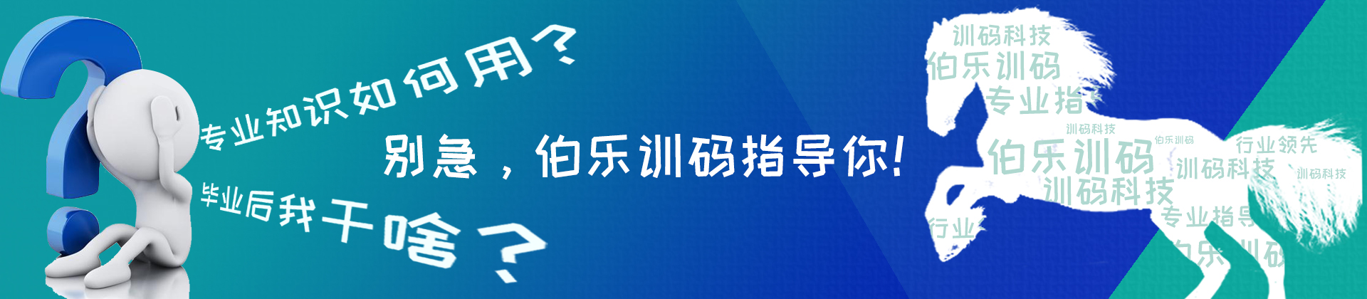成都训码科技伯乐训码